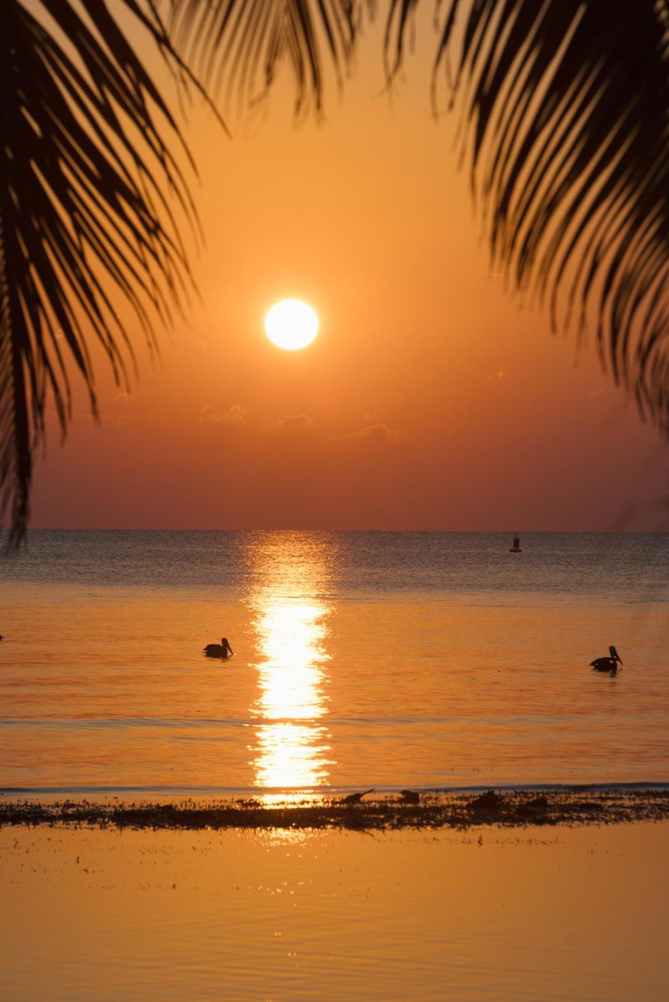 Blue Marlin Beach Resort Dangriga Exterior photo