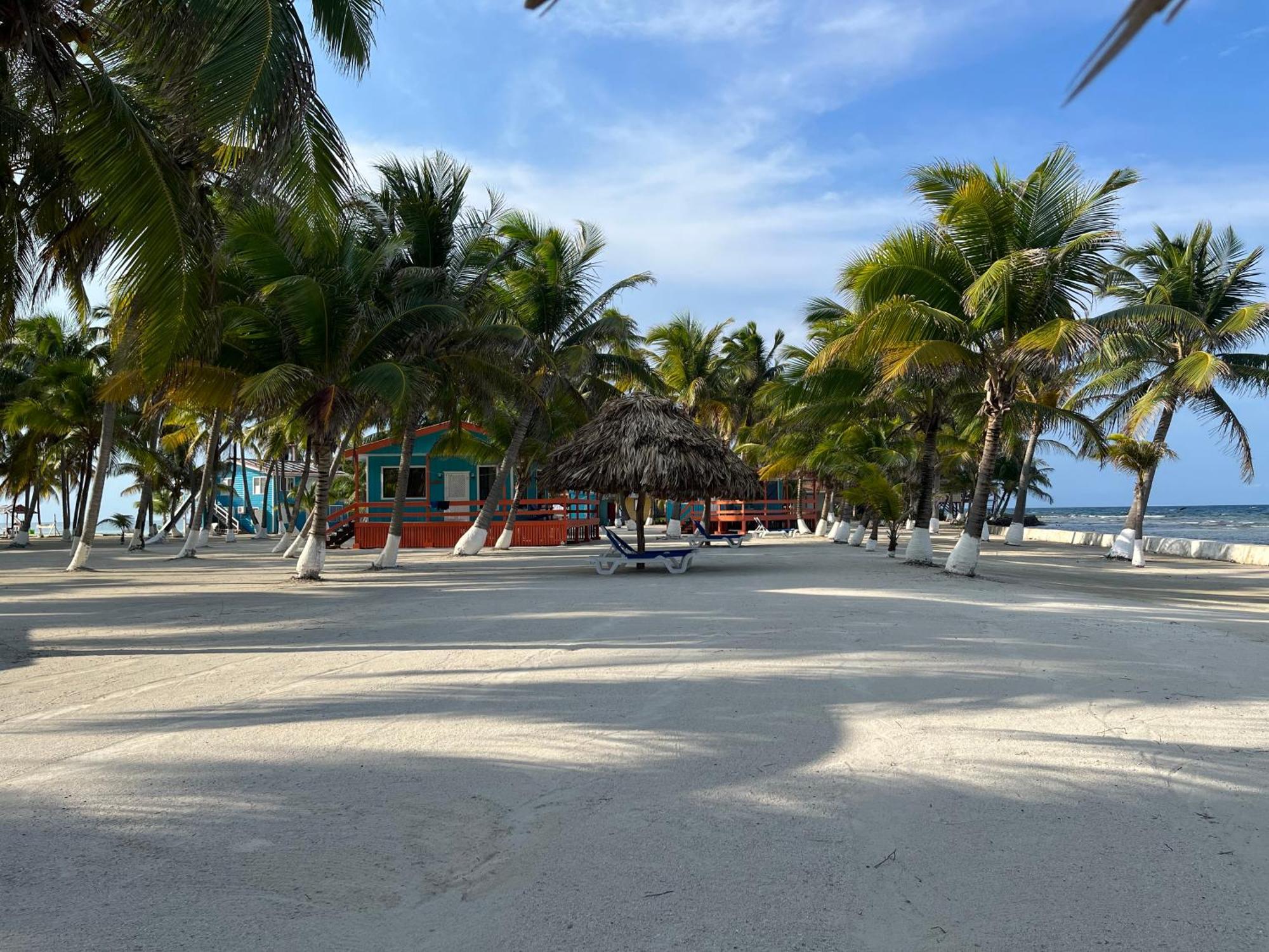 Blue Marlin Beach Resort Dangriga Exterior photo